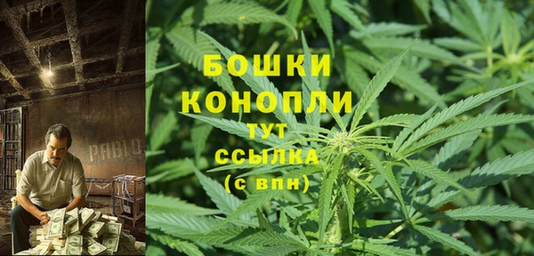 не бодяженный Гусев
