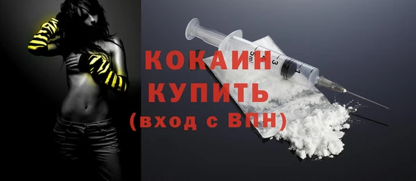 соль ск Гусь-Хрустальный