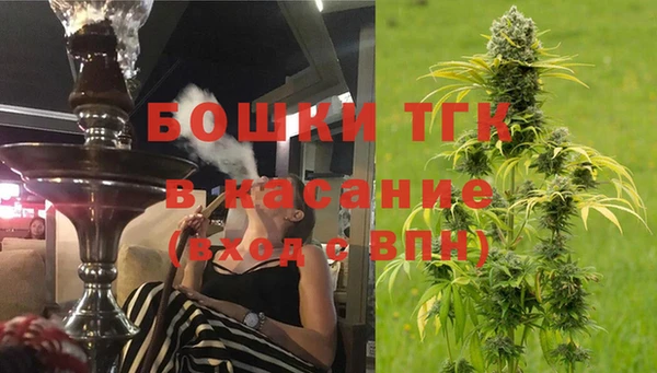 не бодяженный Гусев